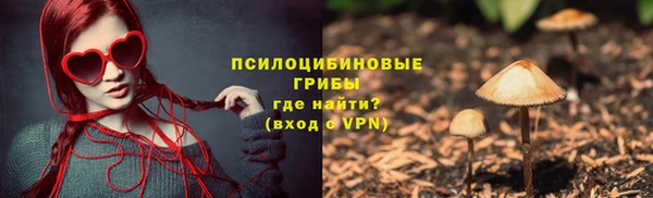 прущая мука Арсеньев