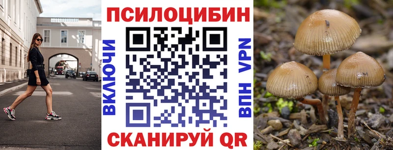 Галлюциногенные грибы мухоморы  Оса 